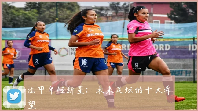 法甲年轻新星：未来足坛的十大希望