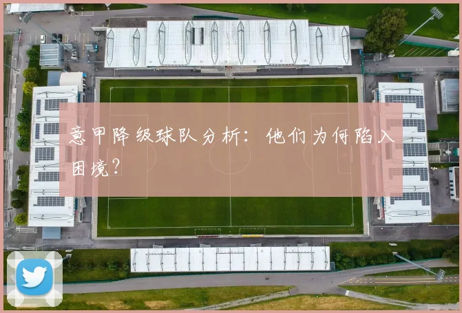 意甲降级球队分析：他们为何陷入困境？
