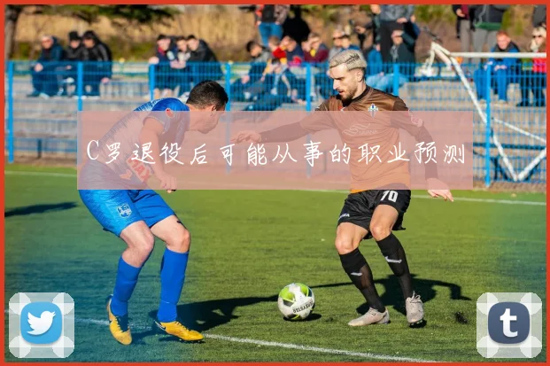 C罗退役后可能从事的职业预测